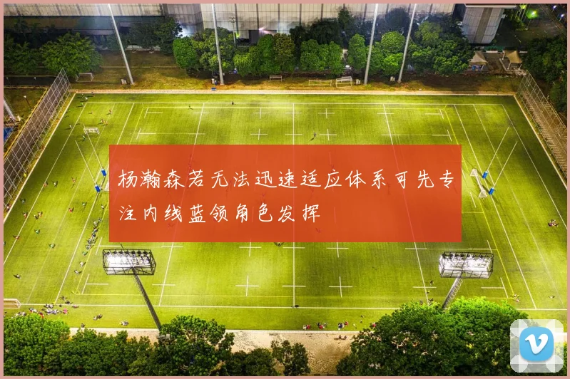 杨瀚森若无法迅速适应体系可先专注内线蓝领角色发挥